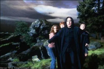 Dans  Harry Potter et le prisonnier d'Azkaban , qui frappe Drago ?