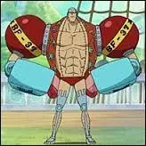 Sur quelle le Luffy recrute-t-il Franky ?