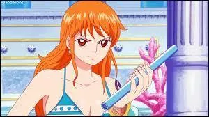 Quel est le nom de la demi-sur de Nami ?