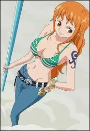 Comment s'appelle l'arme de Nami ?