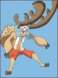 Comment s'appelle cette technique ?