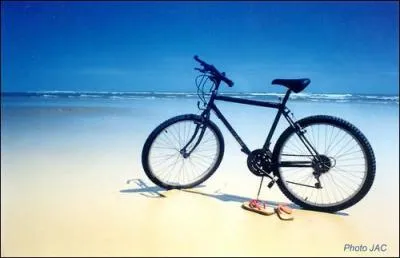 Dans le film adapt du livre de Rgine Desforges :  La bicyclette bleue , qui tient le rle du pre de la jeune fille interprte par Laeticia Casta ?