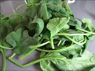 Finalement, comment s'appelle ce lgume qui est trs apprci par Popeye ?