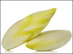 Quel est le nom de ce lgume qui est aussi appel chicon ?
