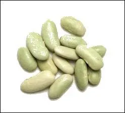 Et celui-ci, comment s'appelle-t-il ?