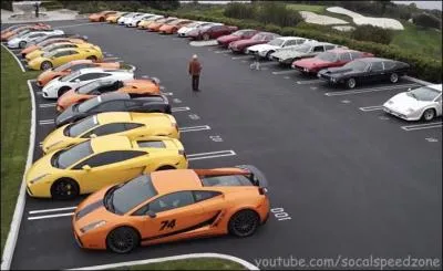 Devant le club VIP, il y a plein de ___________.