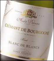 Le mot commence par : Laisse ...