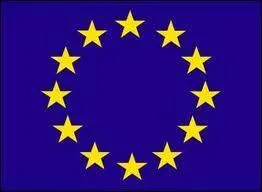 C'est le drapeau d'une organisation mondiale :