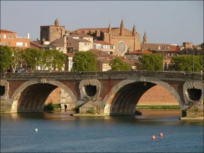 Dans une des chansons de Joe Dassin, quel est le prnom de celle qui  s'est jete du pont de la Garonne  ?