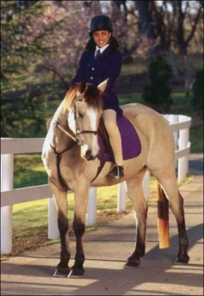 De quelle couleur de robe est Starlignt ?