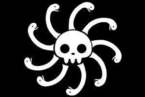 A qui appartient ce drapeau ?