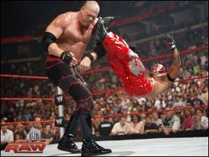 Qui sont ces 2 catcheurs?