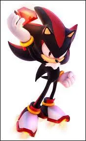 Dans quel jeu est apparu  Shadow The Hedgehog  ?