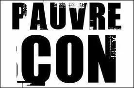 Quelle fille traite souvent son compagnon de 'pauvre con' ?