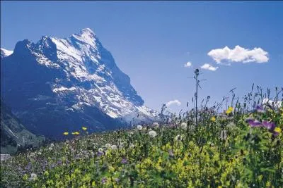 Dans quel pays se trouve l'Oberland bernois, région aux paysages pittoresques entourés de sommets dentelés et riche de plus de 800 lacs ?