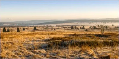Dans quel pays se trouve le plateau des Hautes Fagnes, vaste espace dégagé où voisinent landes, marais et tourbières, à la lisière d'une forêt d'épicéas géants ?