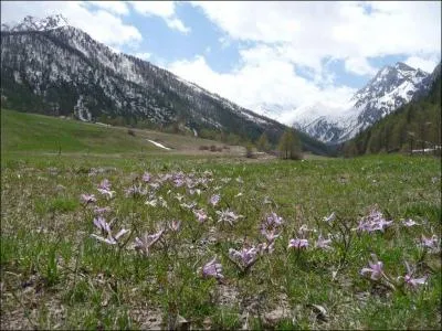 Quel parc naturel régional français, créé en 1977, est situé dans le département des Hautes-Alpes ?