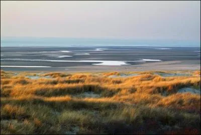 Magnifique baie formée d'étendues marécageuses qui attire de nombreux oiseaux migrateurs de toutes espèces, et qui abrite une colonie de phoques, c'est :