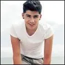 Dans quel clip Zayn Malik chante-t-il en premier ?