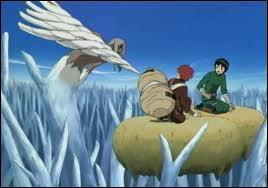 Qui est l'adversaire de Gaara lorsqu'il aide Rock Lee lors de la mission pour rechercher Sasuke ?