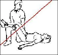 If there is a car crash, what do you have to do?