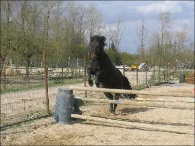 Sais-tu la troisime ?