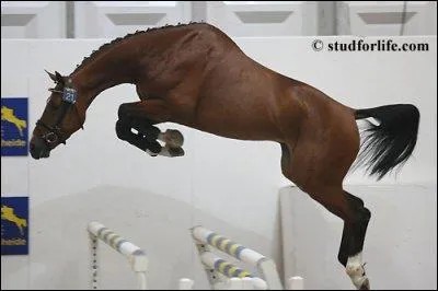 Quelle est la sixime phase du saut ?