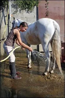 Quand on lave les membres, faut-il les scher ?