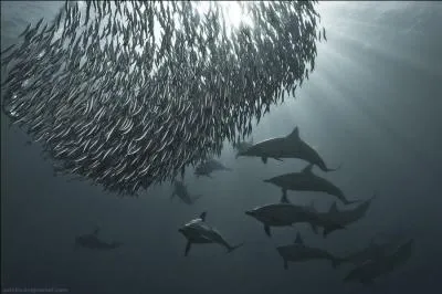 Trs pratique pour s'asseoir !