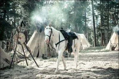 Comment s'appelle le cheval du Lone Ranger ?
