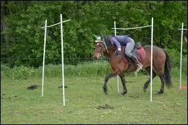 Comment se nomme cet obstacle de cross ?