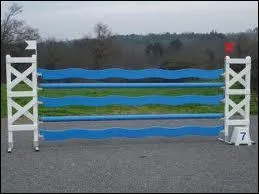 Comment se nomme cet obstacle ?