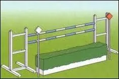 Comment se nomme cet obstacle ?