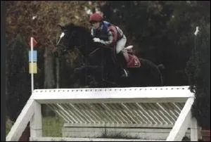 Comment se nomme cet obstacle ?