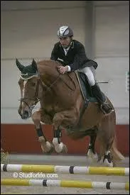 Combien y a-t-il de phases pendant le saut ?