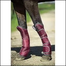 A quoi servent ces protections ?