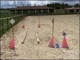 Comment se nomme cet obstacle en P. T. V ?