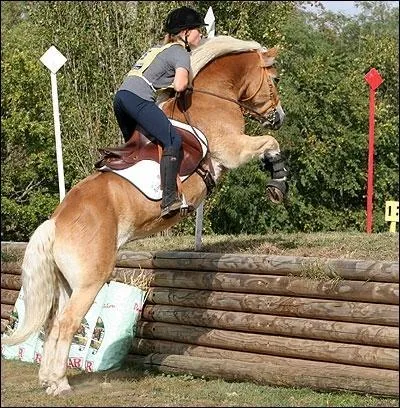 Comment se nomme cet obstacle de cross ?