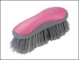 Comment s'appelle cette brosse et  quoi sert-elle ?