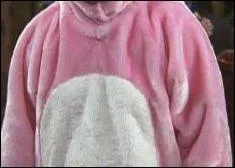 C'est qui ce mignon lapin rose ?