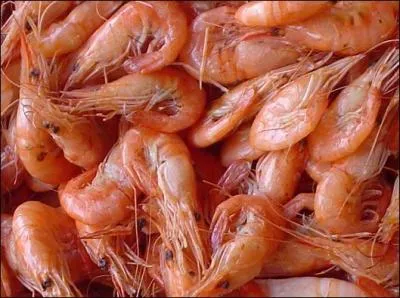 Quel est ce crustac tout fin, d'une jolie couleur rose ?