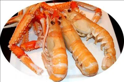 Quel est ce crustac dlicieux au nom de diminutif ?