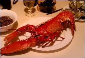 Quel est le nom de ce crustac hors de prix, qui en change de couleur une fois cuit ?