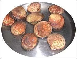 Quel est ce coquillage homonyme d'un fruit du midi ?