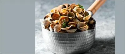 Quel est le nom de ce coquillage voquant la partie principale d'un bateau ?