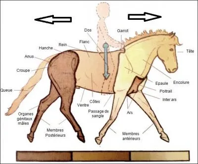 Complter l'image,  quoi correspondent les chiffres ?