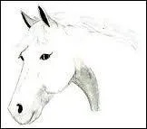 Que signifie les oreilles places comme ceci ?