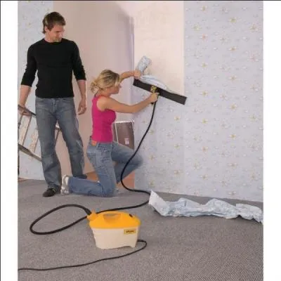 Ils veulent changer la dco de leur maison.