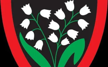 Quiz Logos