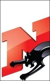 De quelle radio s'agit-il ?